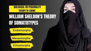 William Sheldon's Somatotypes Theory || Endomorphs Mesomorph Ectomorphs | Biological Theory of Crime
