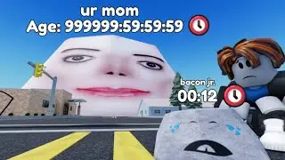 All *Secret* My Pet Rock Codes | Codes for My Pet Rock Roblox  2024
