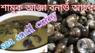 জনজাতীয় খাদ্য শামুক🐚 , sea snail. শামুক কেনেকৈ ৰান্ধে ? How to cook snail.SAMUKOR UPOKARITA. BENEFIT