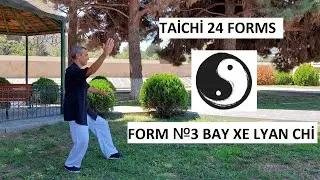 Taichi 24 forms - Form №3 