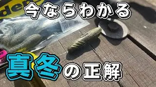 【バス釣り】カバースキャット【ボトムジャーク】が釣れない人は、この使い方だけ、やり切ってみて下さい。専用フック、セッティングの必要性とは【厳寒期対策】