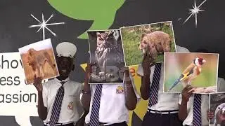 WORLD WILDLIFE DAY: ADVOCATES TO FOCUS ON CLIMATE CHANGE MITIGATION MEASURES