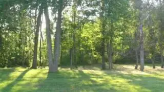 Real Estate Auction! 725' on Cedar Lake in Aitkin, Over 5 acres!