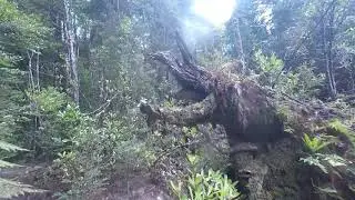Adamsons Peak Tasmania