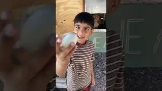 Egg-citing Adventures:Cleaning and Packing Eggs with EcoFarm kids #FamilyFarmTime #SustainableLiving