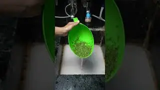 Water Strainer or Washer Bowl For Kitchen #kitchentools #pulses #fruit #vegetables #washing #shorts