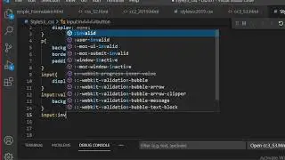 Cours css3 ( Vidéo 23) :  selector valid invalid