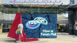 Forum mall play arena| Tridom |  South Bengaluru