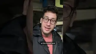 Bats?! In the Tel Aviv Central Bus Station?!