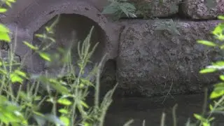 Need flood insurance? The city of Austin may be able to help