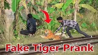 WOW!! FUNNY FAKE TIGER PRANK ON BANGLADESHI PEOPLE | VERY FUNNY VIDEO IN 2022