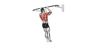 Band Assisted Pull up