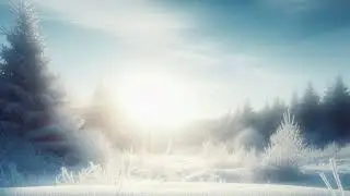 『雪原』