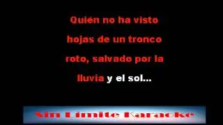 Tengo derecho a ser feliz  - José Luis Rodriguez - Karaoke Full