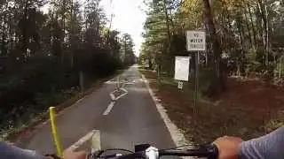 Tammany Trace
