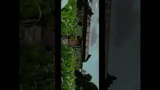 Cinematic Village video | iphon13 | shot on iPhone 13 #shots #shortsfeed #shotoniphone #ytshorts