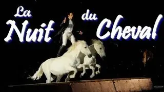 La Nuit du Cheval | Salon de Paris 2017