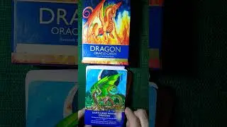 Dragon Oracle Card 26/1/25