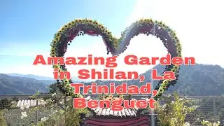 Darjanes' Garden in La Trinidad, Benguet...