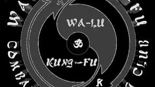 WaLu Kung Fu 08-25-24