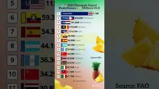 🍍 Top Pineapple Exporting Countries 2024 🌍💰