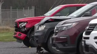 Busy time of year for car-deer crashes