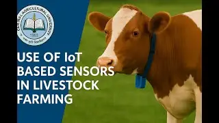 USE OF IoT BASED SENSOR'S IN LIVESTOCK FARMING