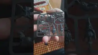 TOW The Old World Unboxing Herrero Rúnico