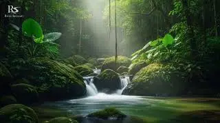 Hidden Nature River Soundscape for Sleep Recovery | Gentle Water Flow Ambience
