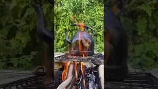 Simple Joys: Brewing Tea Over a Wood Fire in Nature 🔥🍃