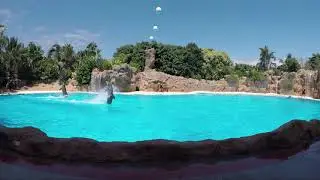 Loro Parque, Tenerife Spain Holiday Vlog