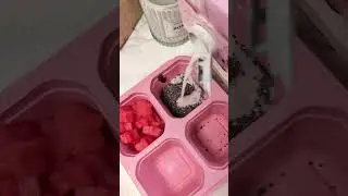 Snack pack restock 🧀🍓🍫