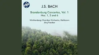 Brandenburg Concerto No. 1 in F Major, BWV 1046: II. Adagio