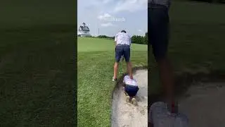 Now that's what we call teamwork 😅