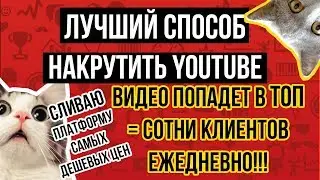 Накрутка Ютуб: просмотров, подписчиков, лайки