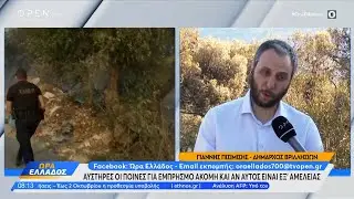 Ο Δήμαρχος Βριλησσίων για τις καταστροφές που προκάλεσε η μεγάλη φωτιά στην Αττική | Ethnos