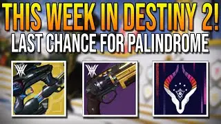 Nightfall Weapon This Week! Last Chance to Get Palindrome (Destiny 2 Weekly Reset) LIVE🔴