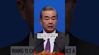 Wang Yi calls Gaza conflict a &lsquo;stain on the 21st century&rsquo;