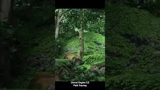 Mossy Forest - Cinematic / Path Tracing - Unreal Engine 5.3