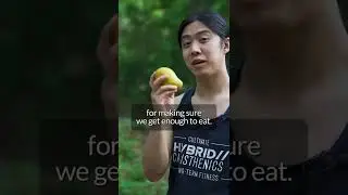 What should we do on rest days?