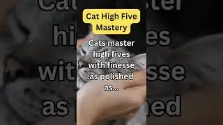 PurrfectGlimpses #CatFacts#PawsomeFacts#WhiskerWisdom#CatsOfKnowledge#MeowFacts#KittyTrivia