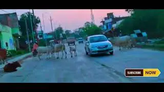 First Vlog with My Friend Pappu Hotel Chai & Phone Repairing at Smart Computer ....