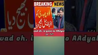 Fawad choudry is sent to Adyala jail | #shorts @drap123.