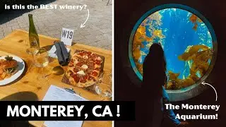 Visiting the Monterey Bay Aquarium | We Found the BEST Winery ? | Exploring Monterey County, CA