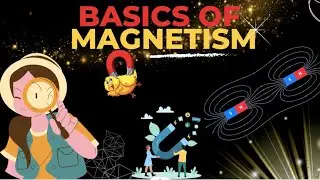 Basics of Magnetism #magnetism #magnet #science #northpole #southpole #sciencerover #rover #explore