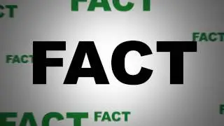 800LoanMart - FACT