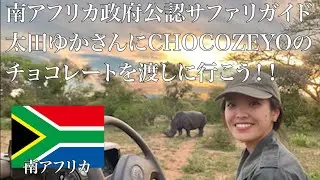 【ケープタウン観光】クレイジージャーニー出演のサファリガイド太田ゆかさん訪ねてケープタウン！チョコゼヨのチョコレートは渡せたのか！？パート２【南アフリカ】