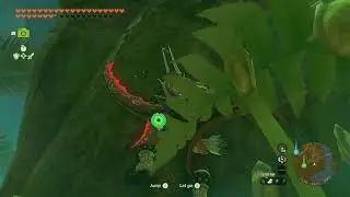 Rugged Rhino Beetle 1-3, Bronas Forest | The Legend of Zelda: Tears of the Kingdom