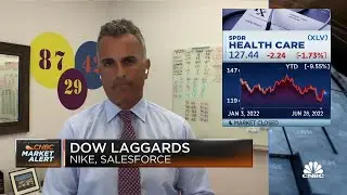 The healthcare sector offers offense, defense, growth and value: Virtus' Joe Terranova
