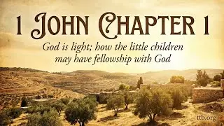 1 John Chapter 1 (Bible Study)